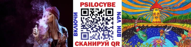 Купить где  Гдов  Галлюциногенные грибы MAGIC MUSHROOMS 